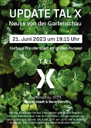 TalX Flyer