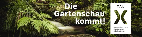 Banner TalX 4