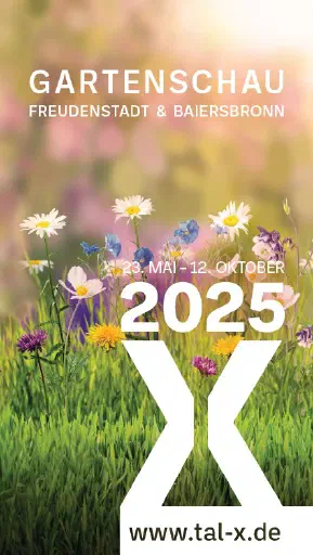 LED Wall TalX