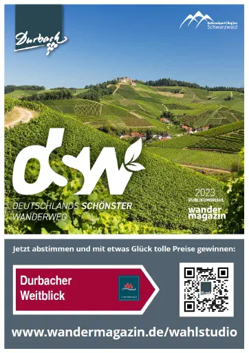 DSW Plakat Variante