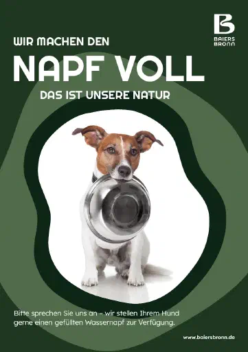 Plakat Hunde