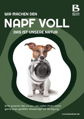 Plakat Hunde
