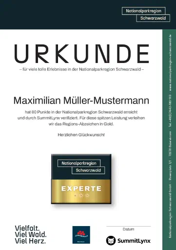 Urkunde Summit Lynx NLPR