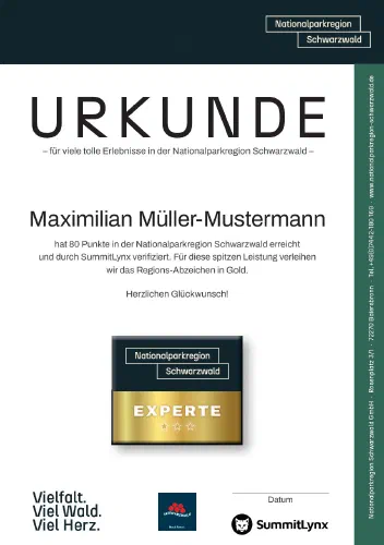 Urkunde Summit Lynx NLPR